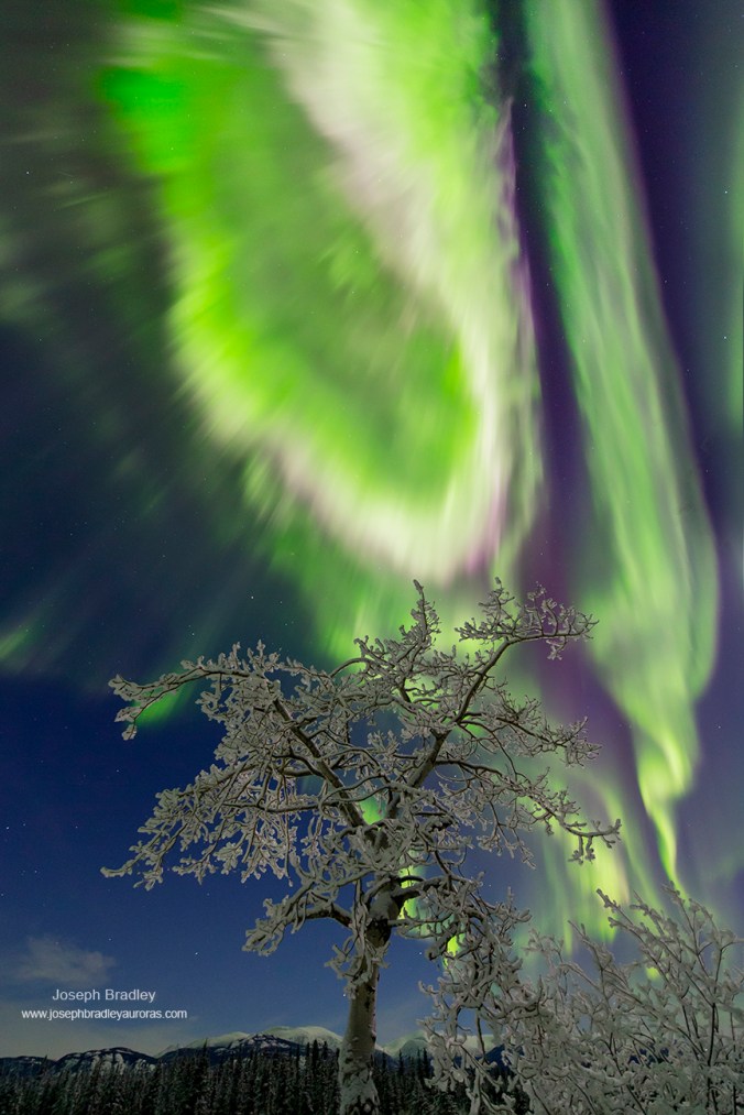 Joseph-Bradley-_MG_8407_1450760666